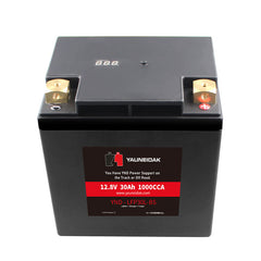 12.8V·CCA 1000A 30Ah LiFeP04 Battery Motorcycle Battery