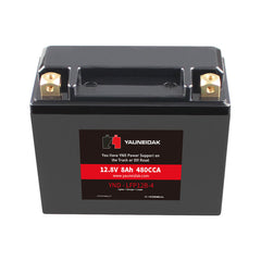 12.8V·CCA 480A ·8Ah LiFeP04 Battery Motorcycle Battery