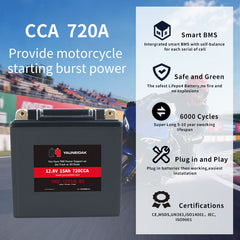 12.8V·CCA 720A ·15AhLiFeP04 Battery Motorcycle Battery