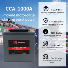 12.8V·CCA 1000A 30Ah LiFeP04 Battery Motorcycle Battery