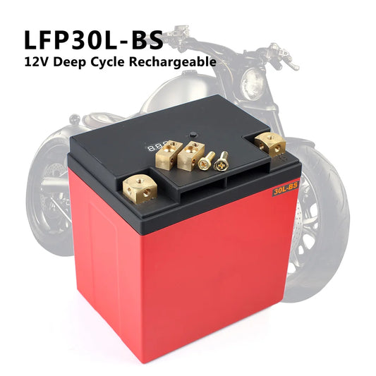 High Quality 12.8V Deep Cycle Rechargeable 16Ah LFP30L-BS Motorcycle Lithium Iron LiFePO4 Battery 3000 Cycles for Electric