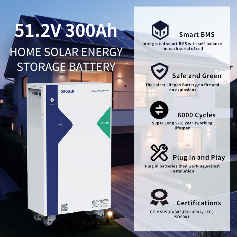 51.2V 300Ah LiFePo4 Solar Energy Storage System Energy Solutions Lithium Battery 15kWh