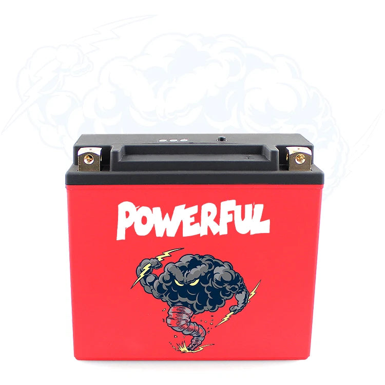Lithium Powersports 12AH 650CCA LiFePO4 12.8V 3000 Cycle Life Battery High Performance Ion Pack for ATV UTV Motorcycle Scooter