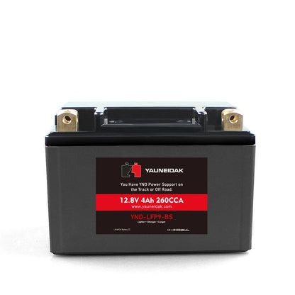 Factory Sale 1.2V 1600mAh Pouch Lithium Ion Polymer Battery for Motorcycle Storage