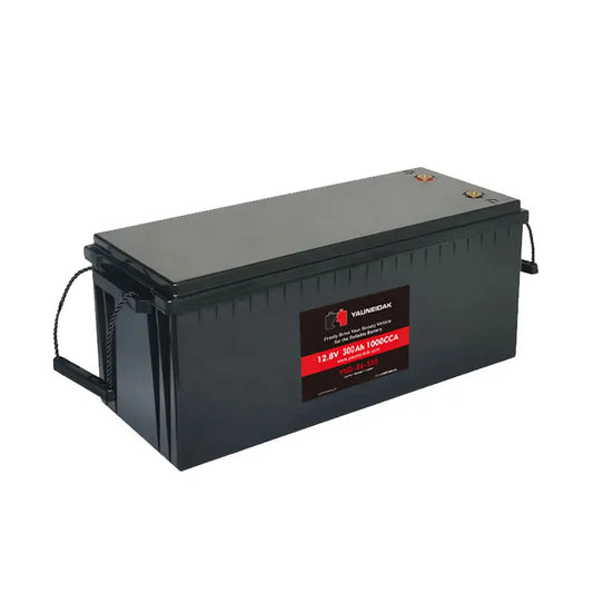 12V High Efficiency Lifepo4 Solar Energy Storage Lithium Ion Battery Pack with BMS 100Ah 200Ah 300Ah Options