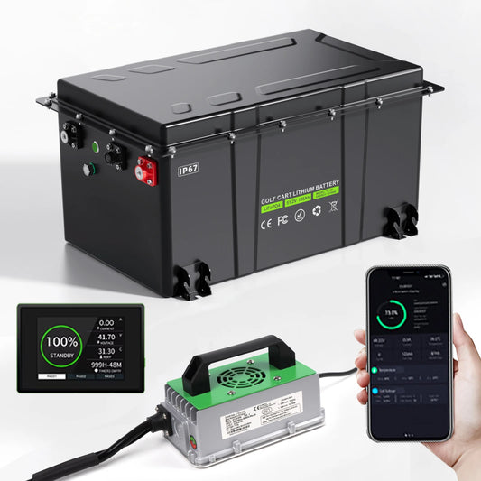 Customizable 48V 51.2V 65Ah 100Ah 105Ah 200A Smart BMS 6000Cycle 76.8V Golf Cart Battery Pack LiFePO4 Lithium Ion Various Colors