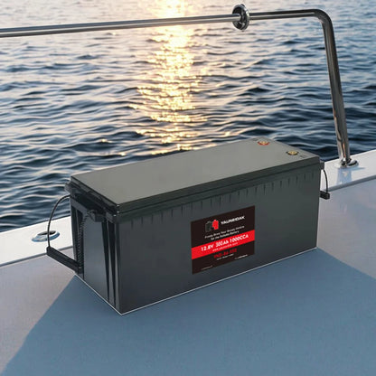 Deep Cycle 12.8V 300Ah LiFePO4 Lithium Ion Battery Pack with BMS for Solar Energy Storage