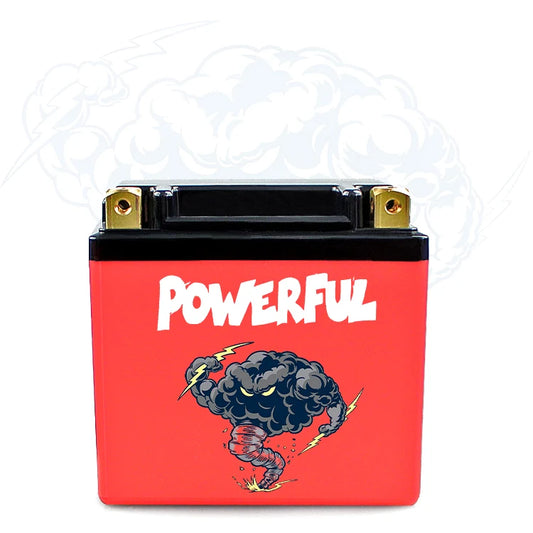 New Arrival 36V 15AH Lithium Ion Battery Pack 12.8v Rechargeable for Electric Bikes Scooters