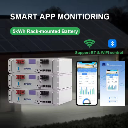 51.2v 100ah LiFePO4 Battery Pack 5-10kW Hybrid Grid Solar System with CAN Communication for Family Farms & Small Islands