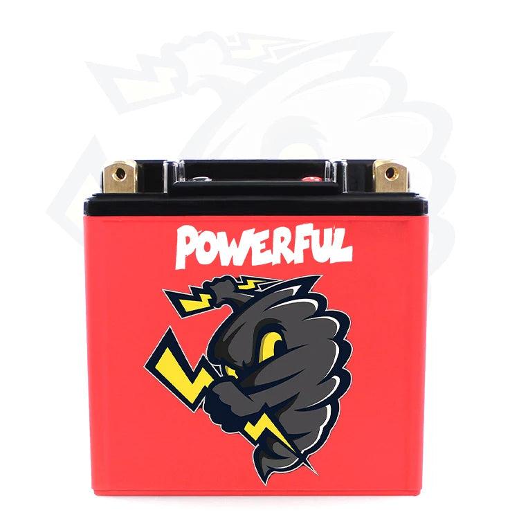High True Capacity Custom 3.2V 50AH Prismatic Lithium Ion Motorcycle Battery LiFePO4