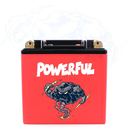 High Capacity 60AH 3.2V Prismatic Lithium Ion Motorcycle Battery with BMS Protection