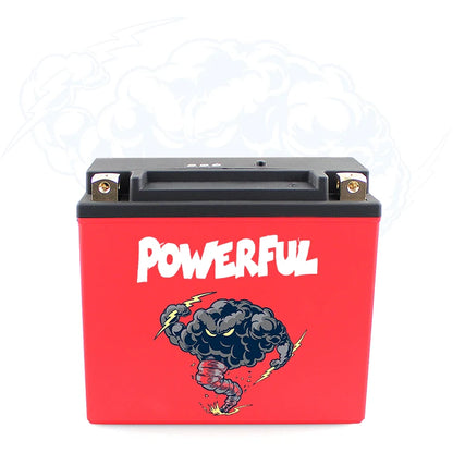 LFP20L-BS 12V  36V Rechargeable Motorcycle Starting Harley, KTM, Yamaha Lithium Iron Battery Lifepo4 Battery 20AH