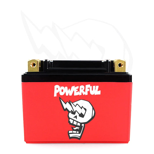 Custom 3.2V 50AH Prismatic Lithium Ion Battery Pack with BMS Protection Customizable Li-Ion Battery