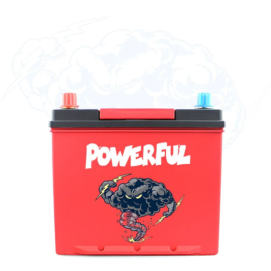 High Capacity 3.2V 50AH Prismatic Lithium Ion Battery