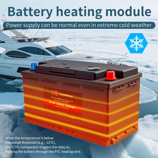 Deep Cycle 12V Lithium Ion Battery Pack Lifepo4 7Ah to 300Ah for RV Marine Boat