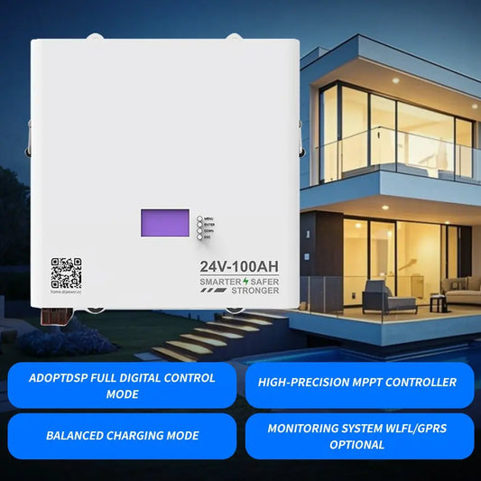 Lithium Solar Battery LiFePO4 24V 100Ah 6000 Cycles for Power Solar Energy