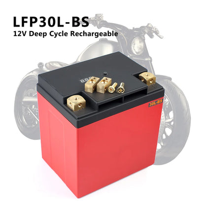 High Quality 12.8V Deep Cycle Rechargeable 16Ah LFP30L-BS Motorcycle Lithium Iron LiFePO4 Battery 3000 Cycles for Electric