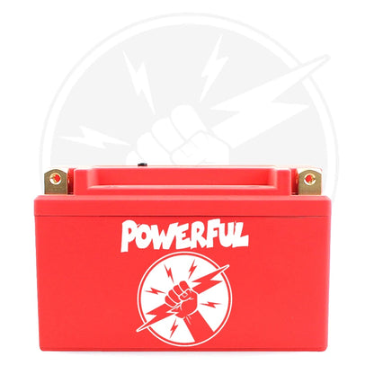 Yauneidak LFP7B-4 12.8V 4Ah 260CCA LiFePo Lithium Battery Superb High Quality Rechargeable Motorcycle Battery 4000 Cycles