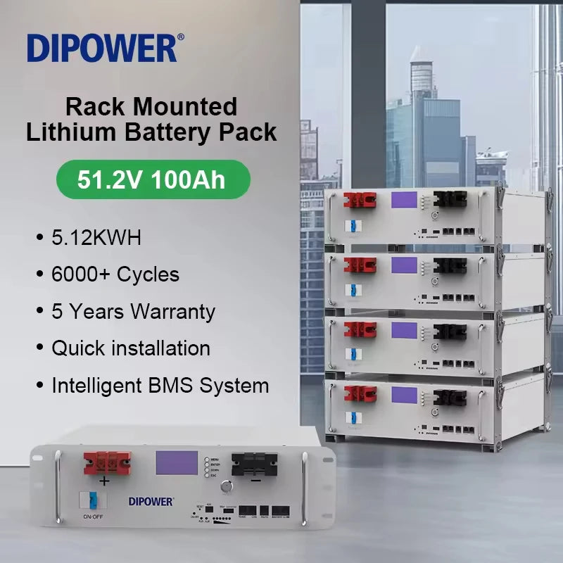 51.2V 100Ah LiFePO4 Battery - Image 2